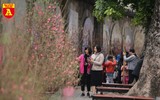 Phố bích họa Phùng Hưng ngập tràn không khí Tết cổ truyền
